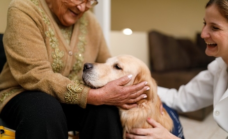Animaux en Ehpad&nbsp;: les conditions d'hygiène et de sécurité sont fixées