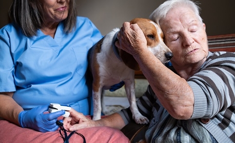 Enquête sur la médiation animale dans les établissements sociaux et médico-sociaux