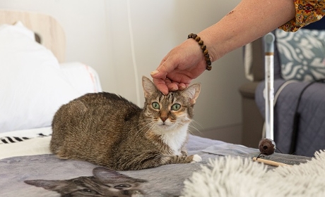 [Long format] En Gironde, un Ehpad qui accueille les animaux de compagnie