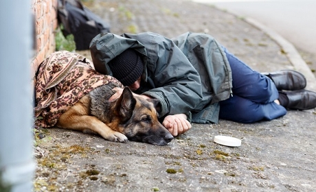 Le nombre de personnes décédées "sans chez-soi" a atteint un nouveau pic en 2024