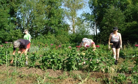 Les jardins, outil de rétablissement social et psychologique