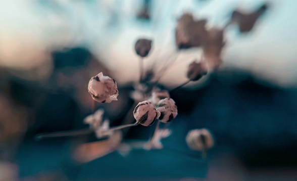 Liv Arty, travailleuse sociale et assistante sexuelle