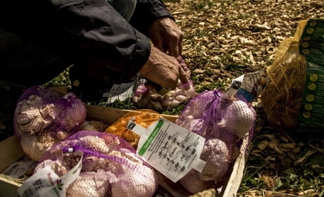 Comment les enjeux environnementaux percutent le travail social