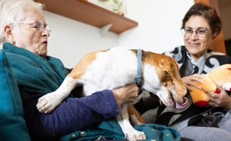 Animaux en&nbsp;ESSMS&nbsp;: conseils de l'Anap pour un quotidien harmonieux